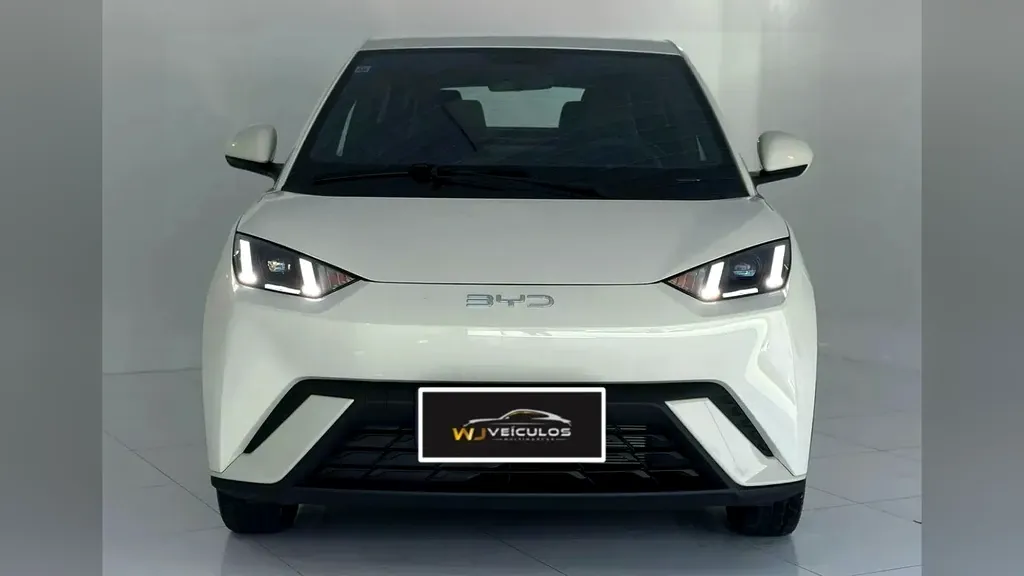 BYD Dolphin