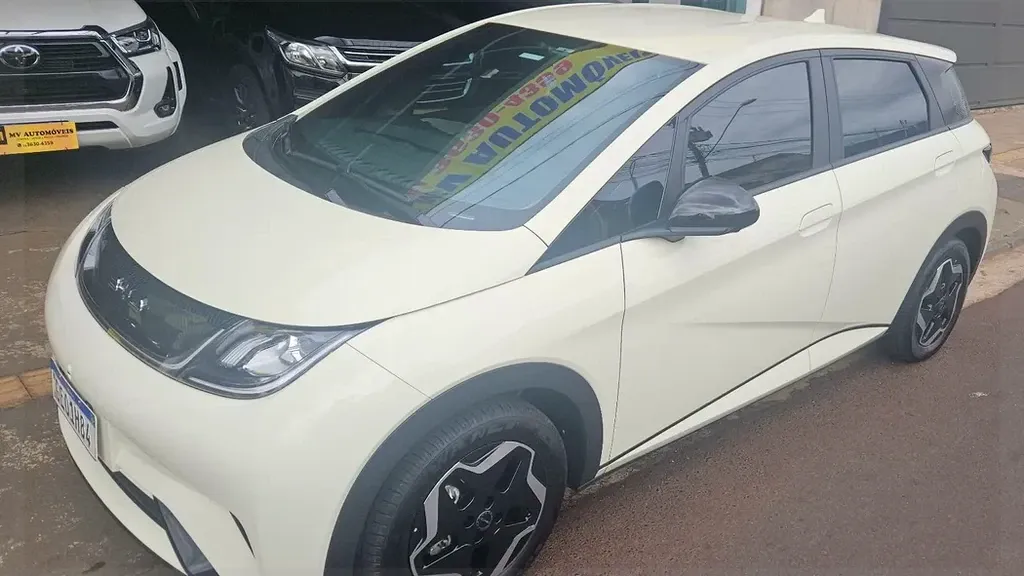 Foto de um byd dolphin