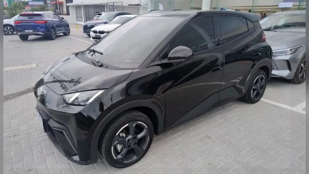 BYD Dolphin