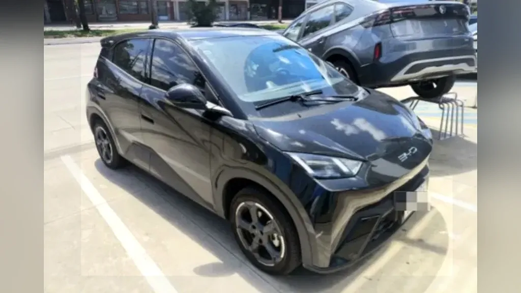 BYD Dolphin