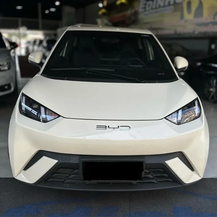 Foto de um byd dolphin