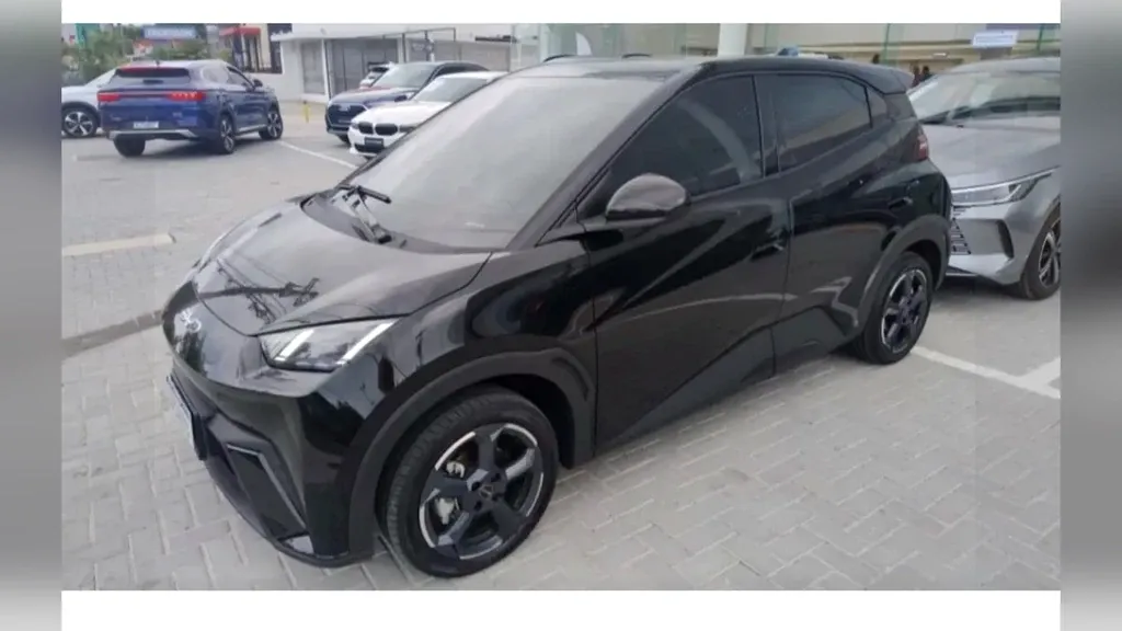 BYD Dolphin