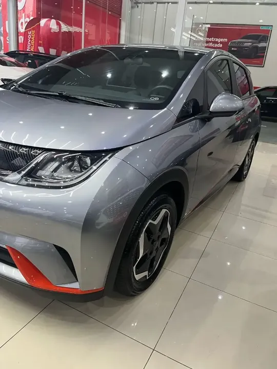 Foto de um byd dolphin
