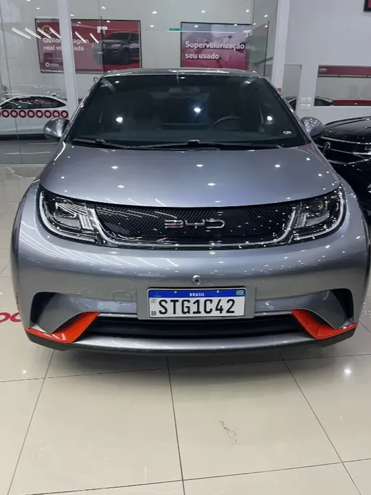 Foto de um byd dolphin