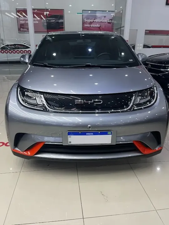 Foto de um byd dolphin