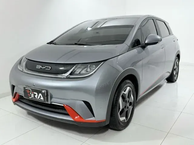 Foto de um byd dolphin