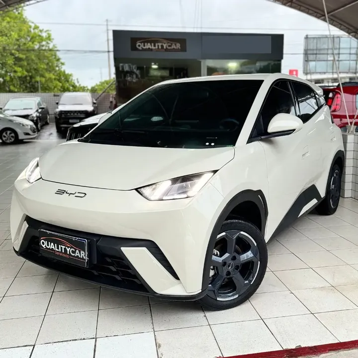 Foto de um byd dolphin