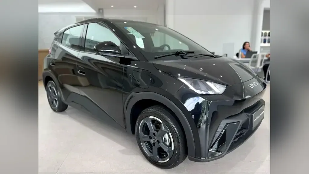 Foto de um byd dolphin mini