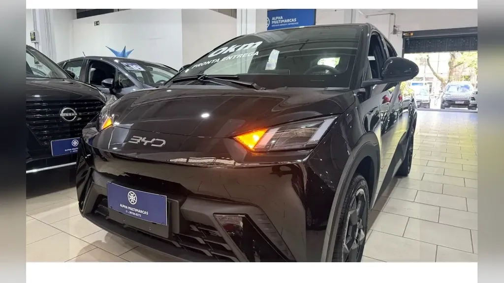 BYD Dolphin