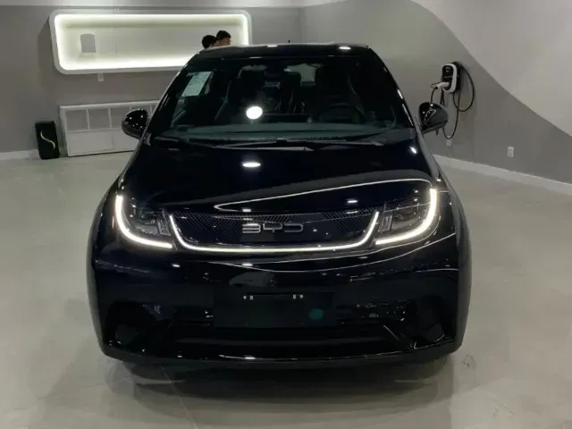 Foto de um byd dolphin