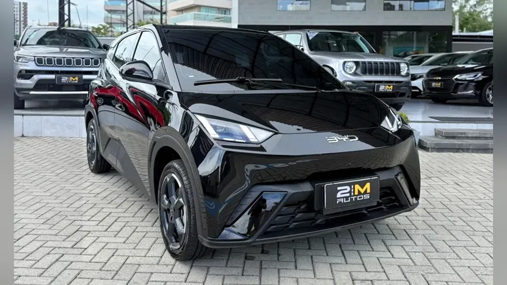 BYD Dolphin