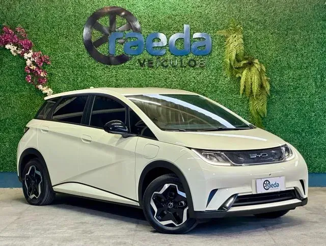 Foto de um byd dolphin