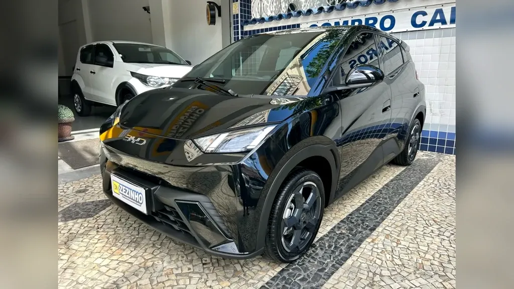 BYD Dolphin Mini
