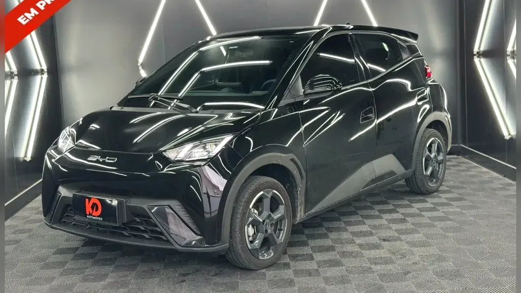 Foto de um byd dolphin