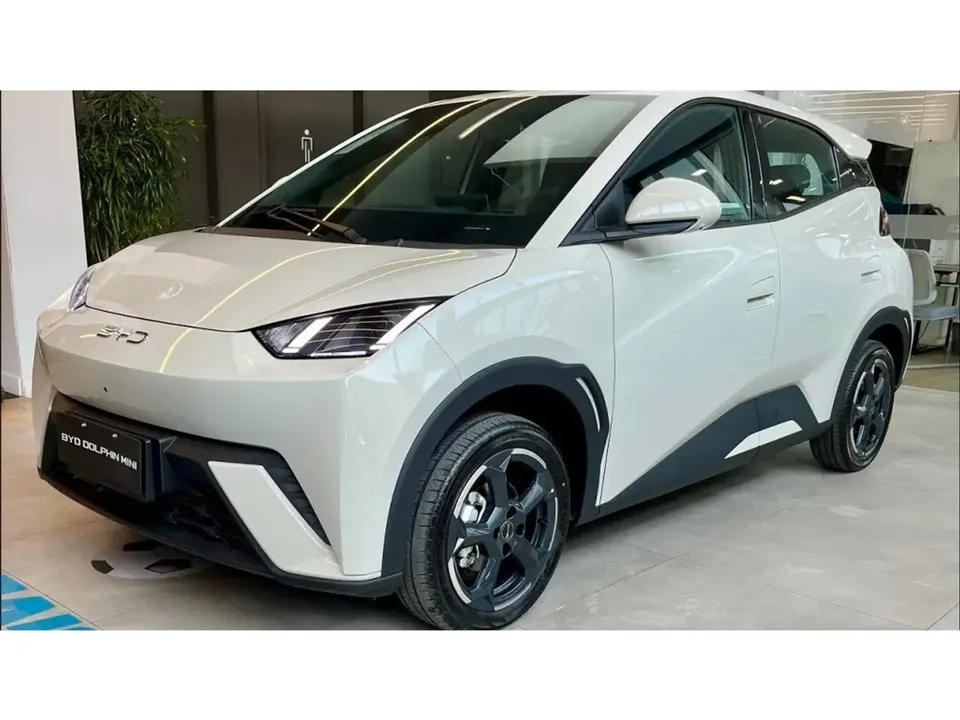 Foto de um byd dolphin