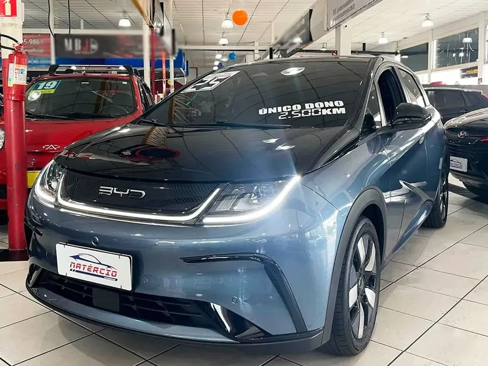 Foto de um byd dolphin