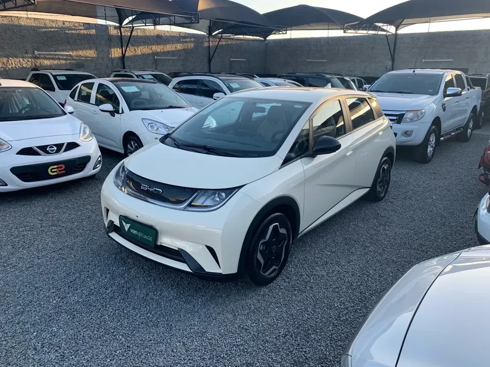 Foto de um byd dolphin