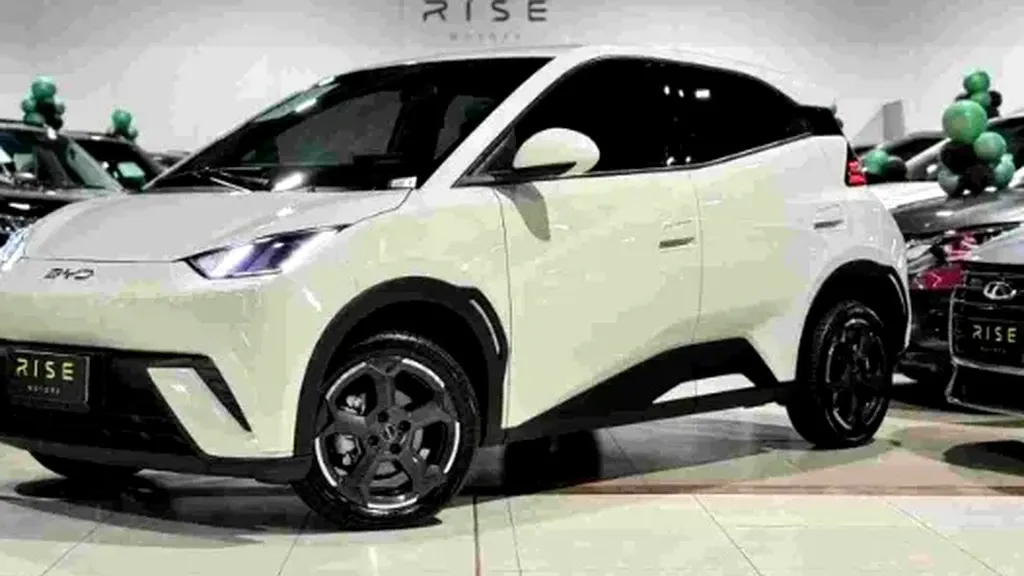 Foto de um byd dolphin