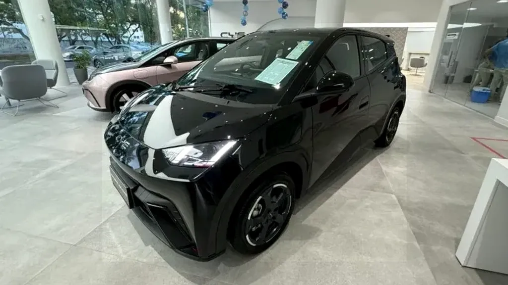 BYD Dolphin Mini