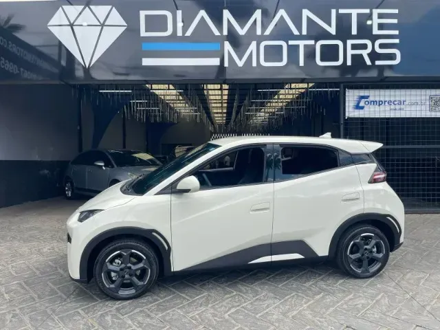Foto de um byd dolphin mini