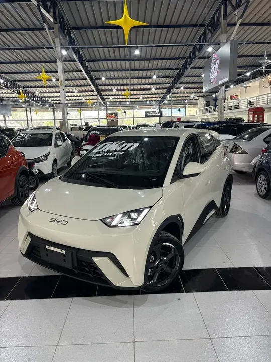 Foto de um byd dolphin mini
