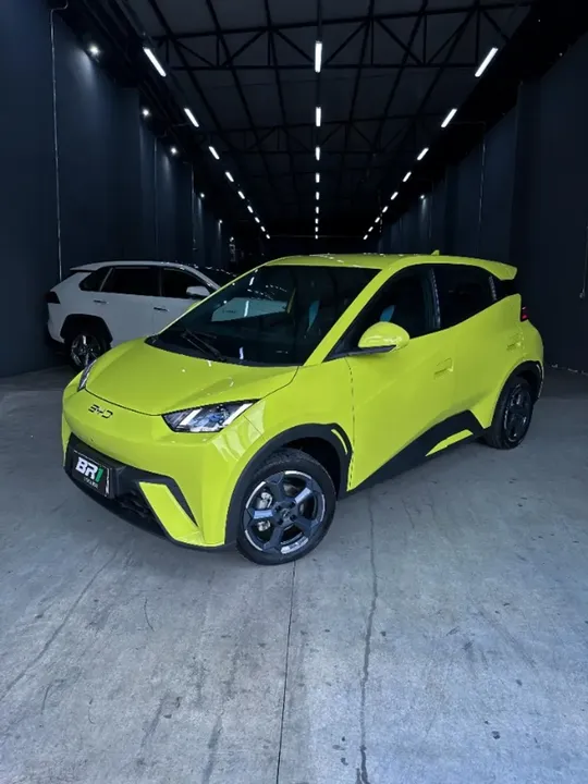 Foto de um byd dolphin mini