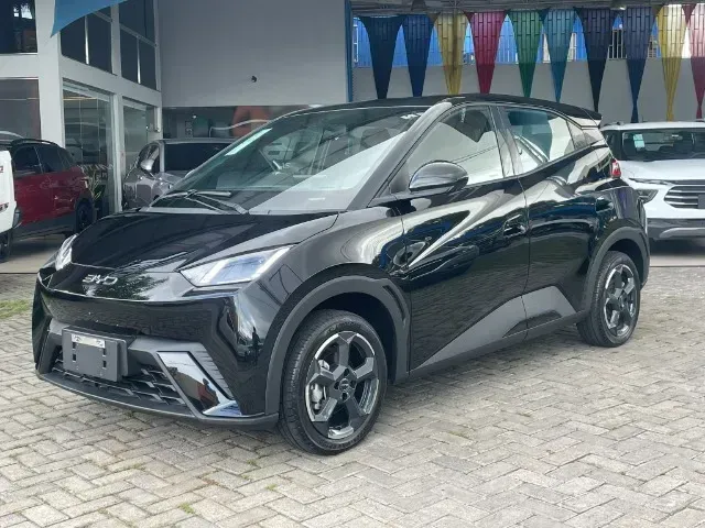 Foto de um byd dolphin mini