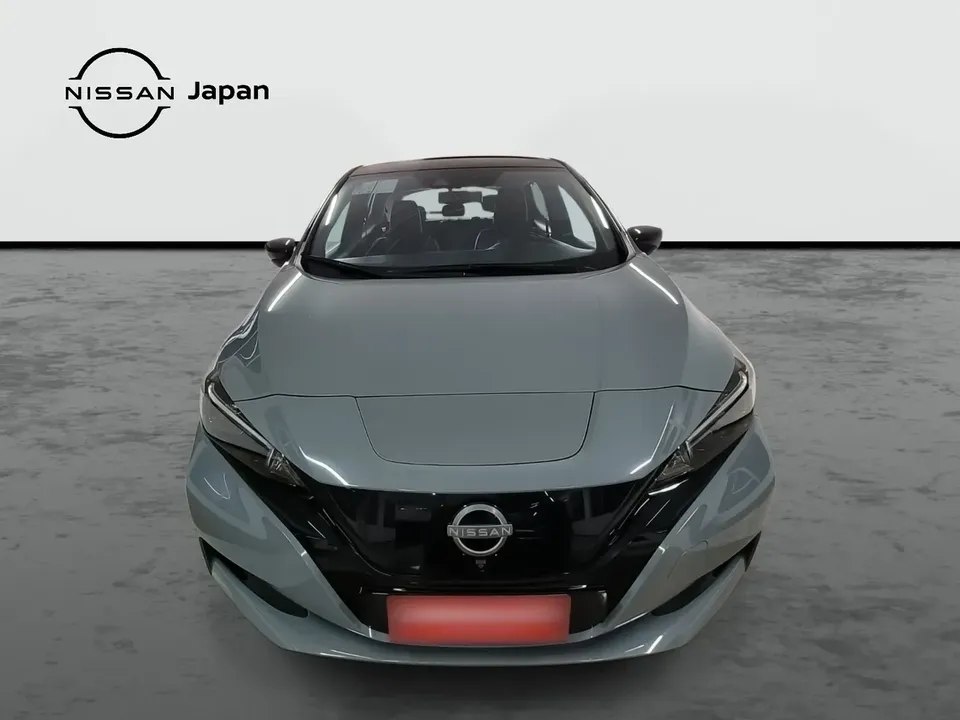 Foto de um nissan leaf