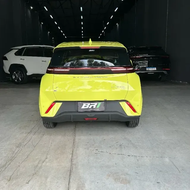 Foto de um byd dolphin mini