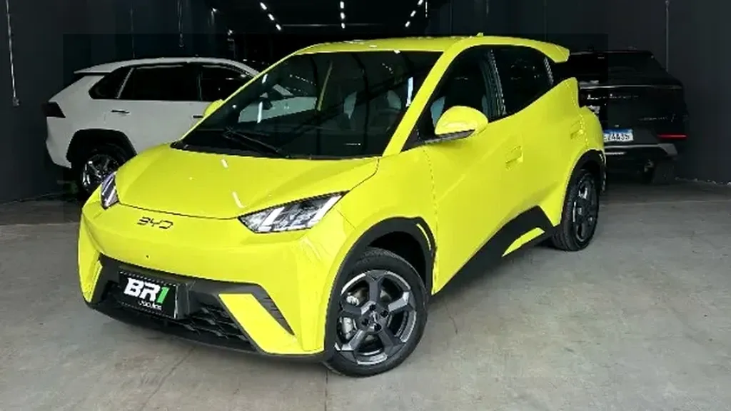 Foto de um byd dolphin