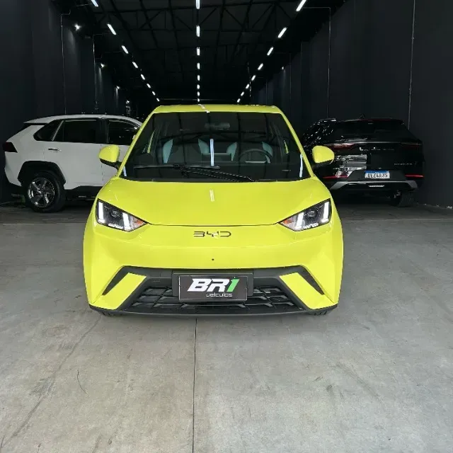 Foto de um byd dolphin mini