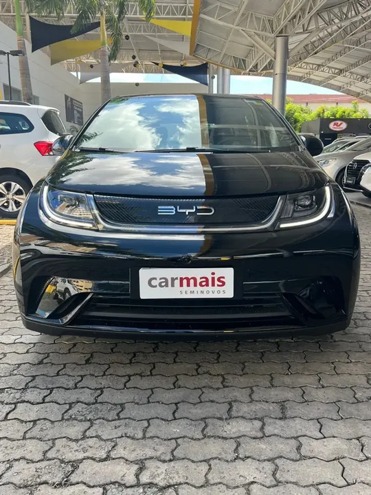 Foto de um byd dolphin