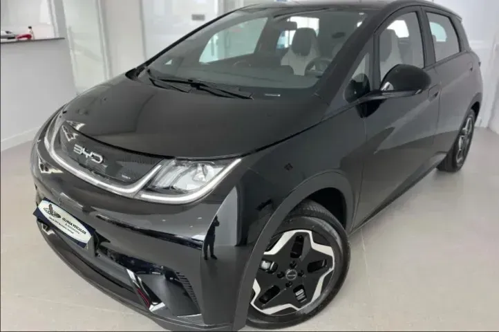 Foto de um byd dolphin