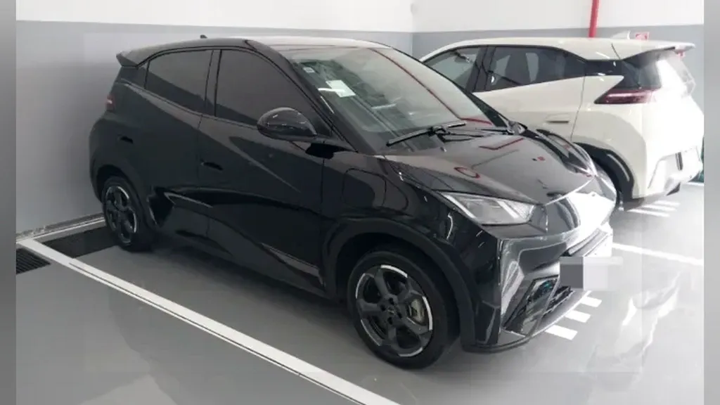 Foto de um byd shark