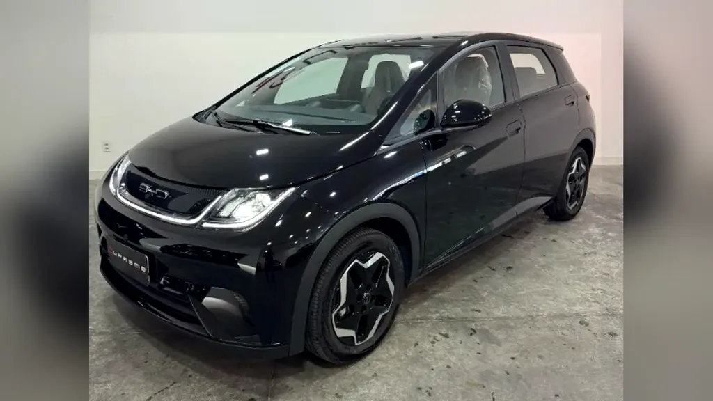 Foto de um byd dolphin
