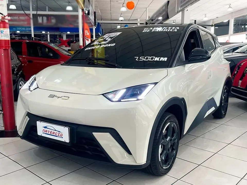 Foto de um byd dolphin