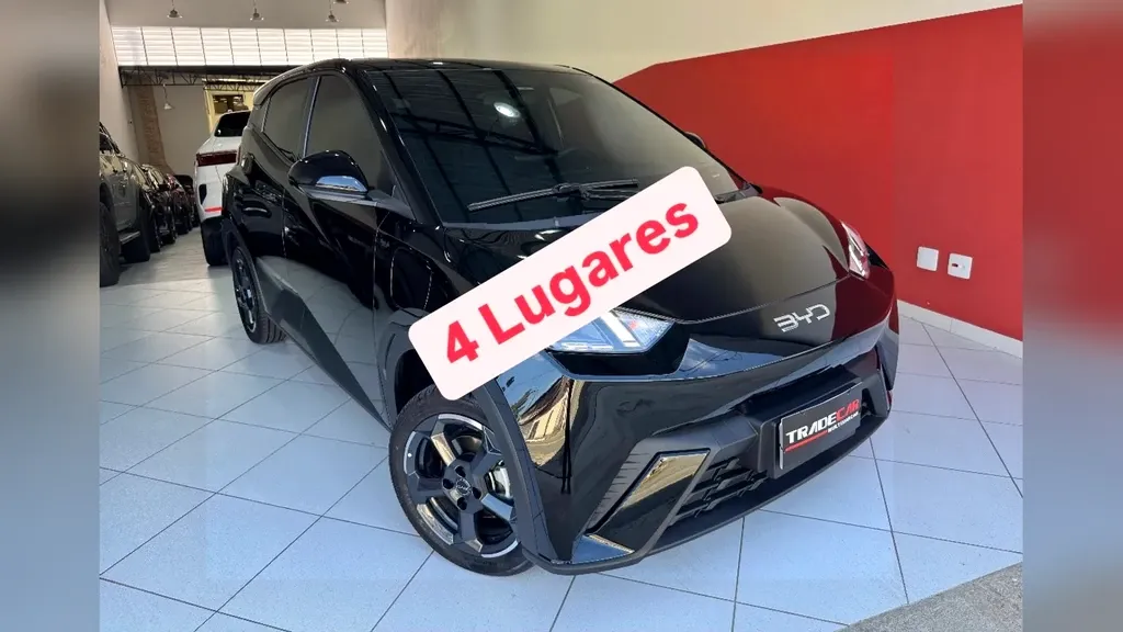 Foto de um byd dolphin