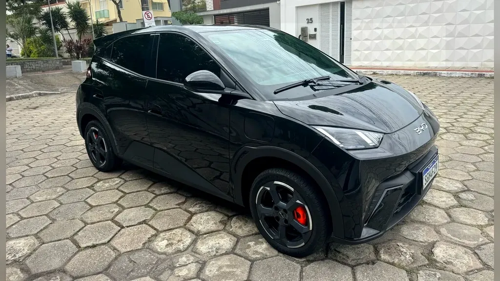 Foto de um byd dolphin