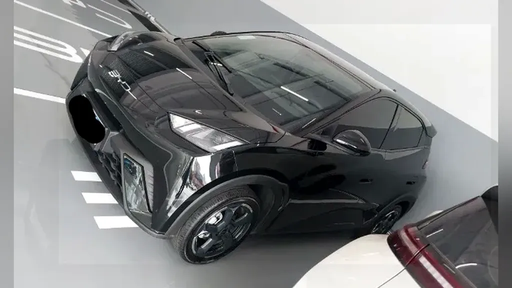 BYD Dolphin Mini