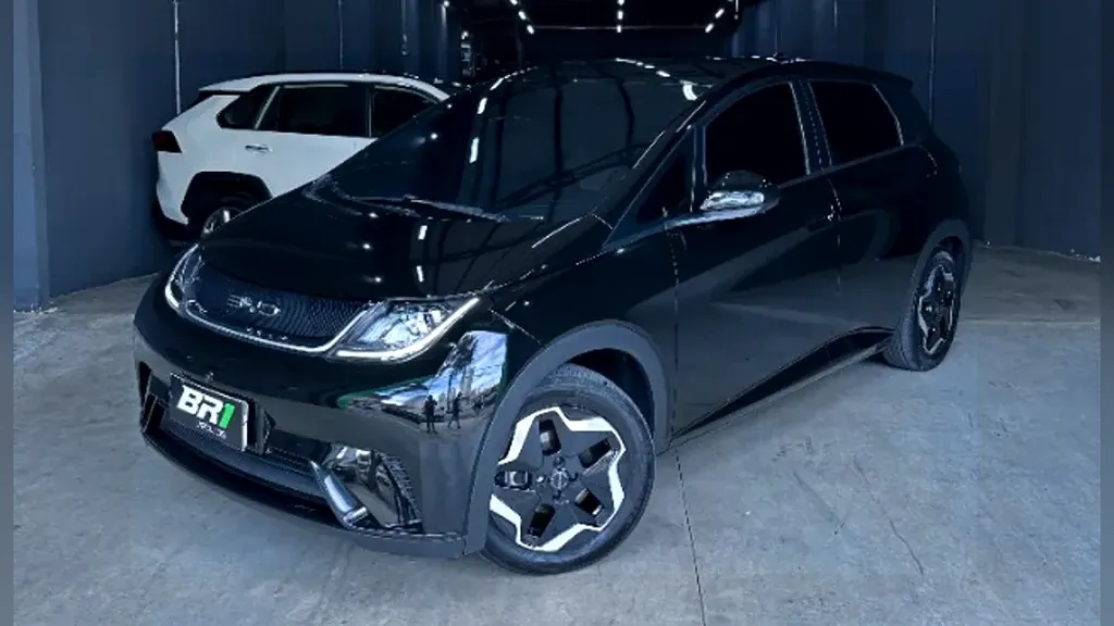Foto de um byd dolphin