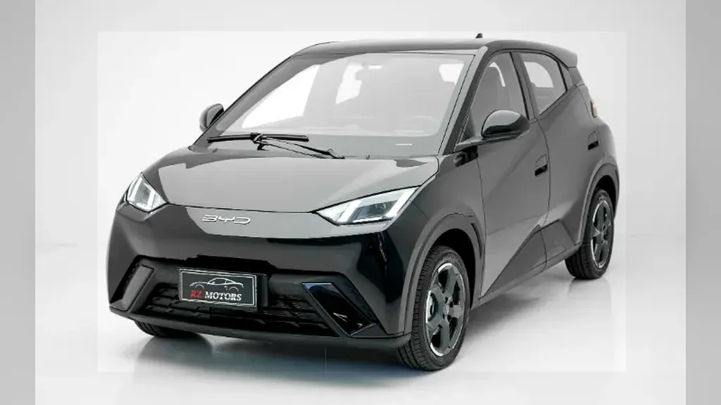 Foto de um byd dolphin