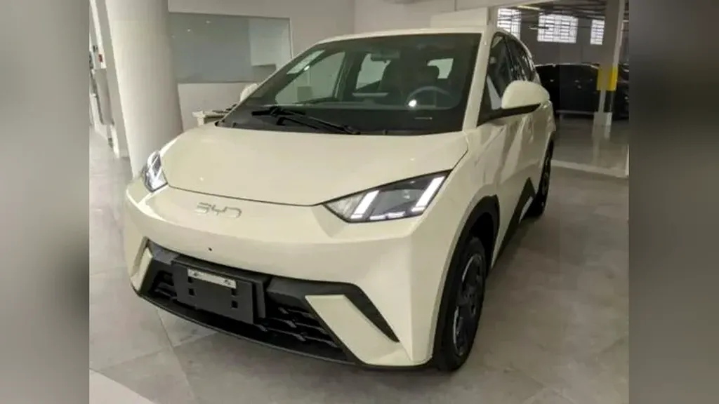 Foto de um byd dolphin mini