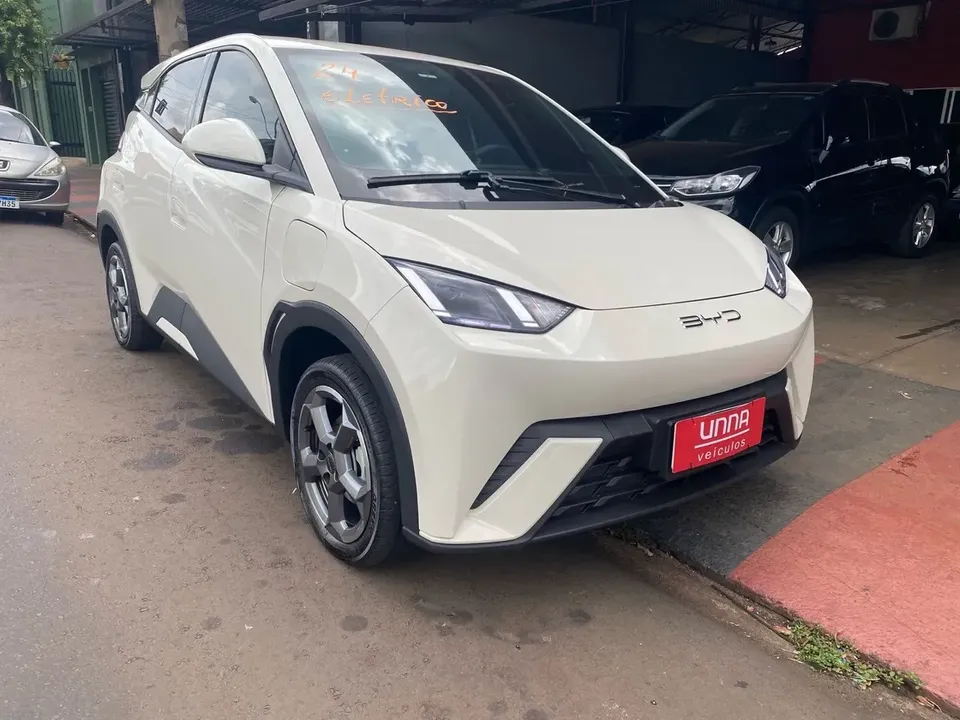 Foto de um byd dolphin mini