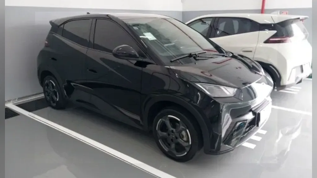 BYD Dolphin