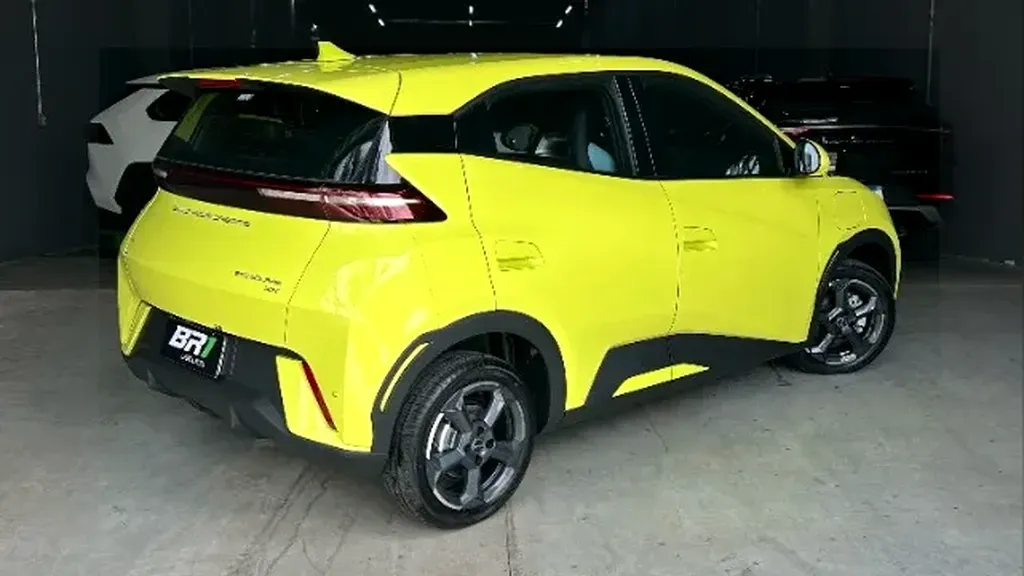 Foto de um byd dolphin