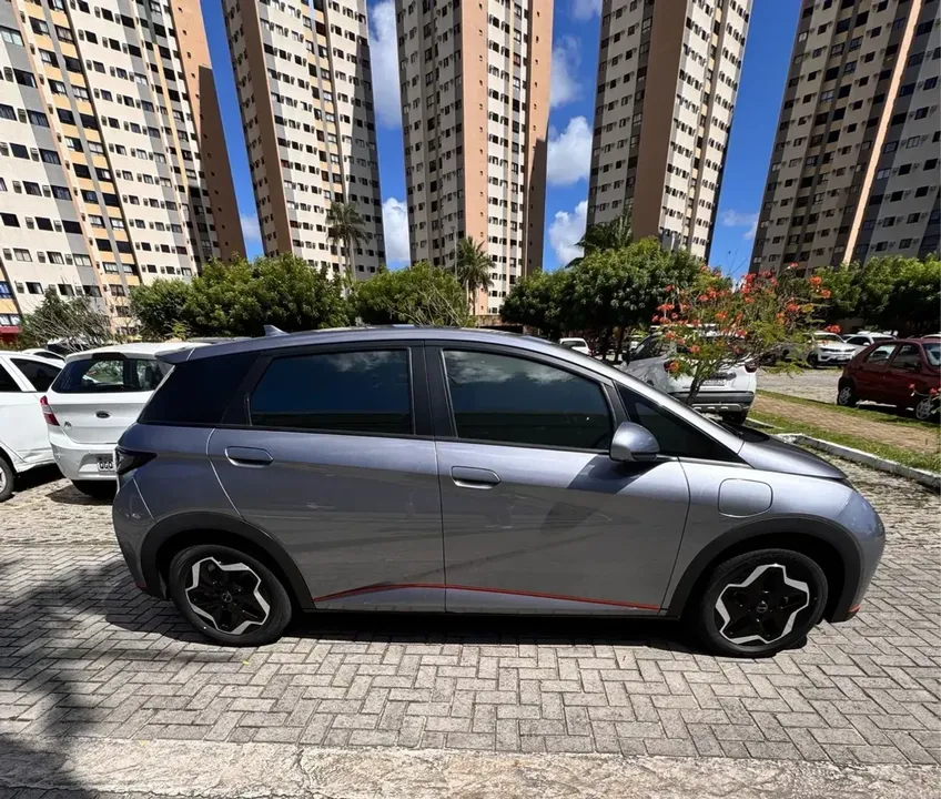 Foto de um byd dolphin