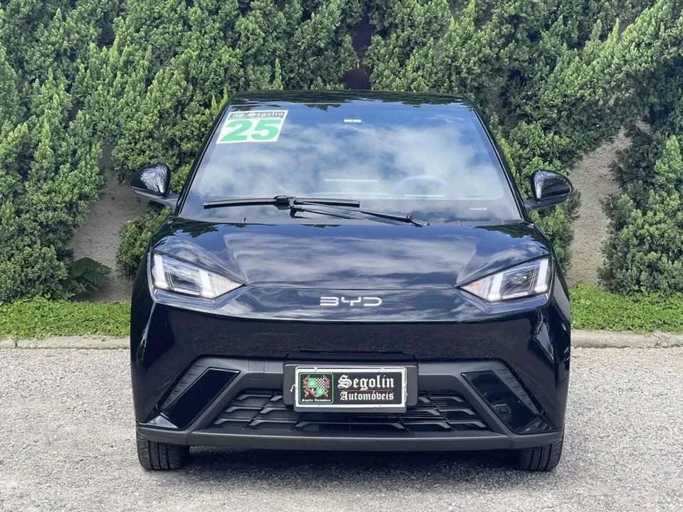 Foto de um byd dolphin