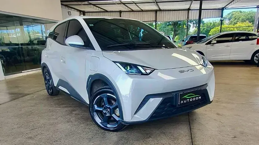 Foto de um byd dolphin mini
