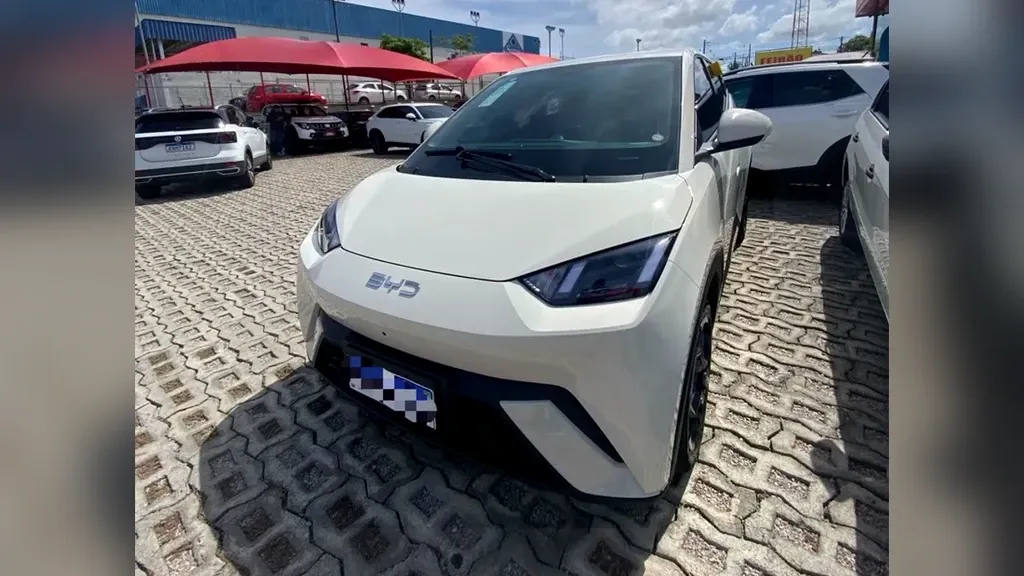 Foto de um byd dolphin mini