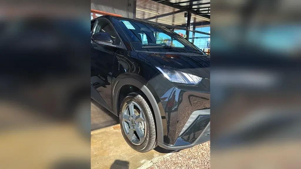 Foto de um byd dolphin mini